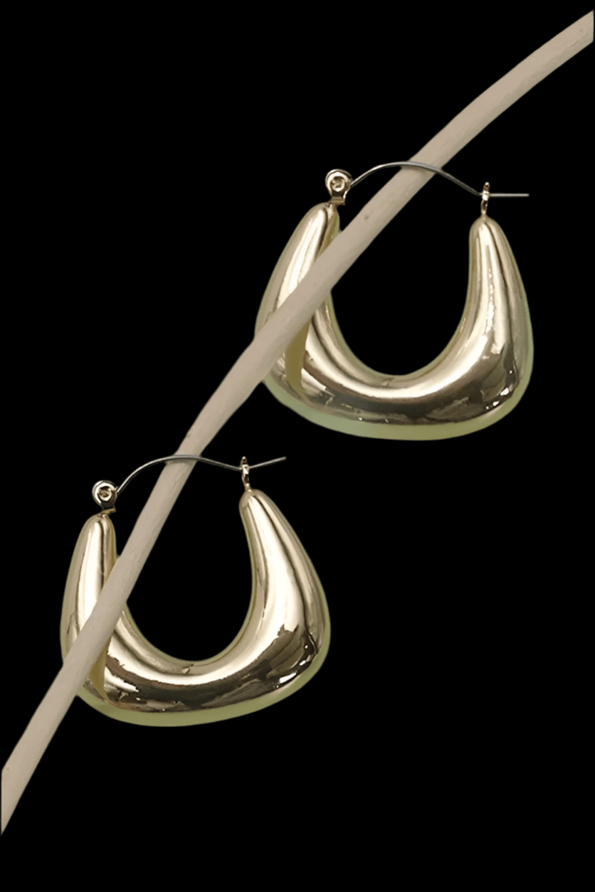 The Josslyn Hoop Earrings
