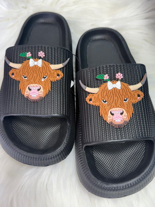 Seaside Highland Slides