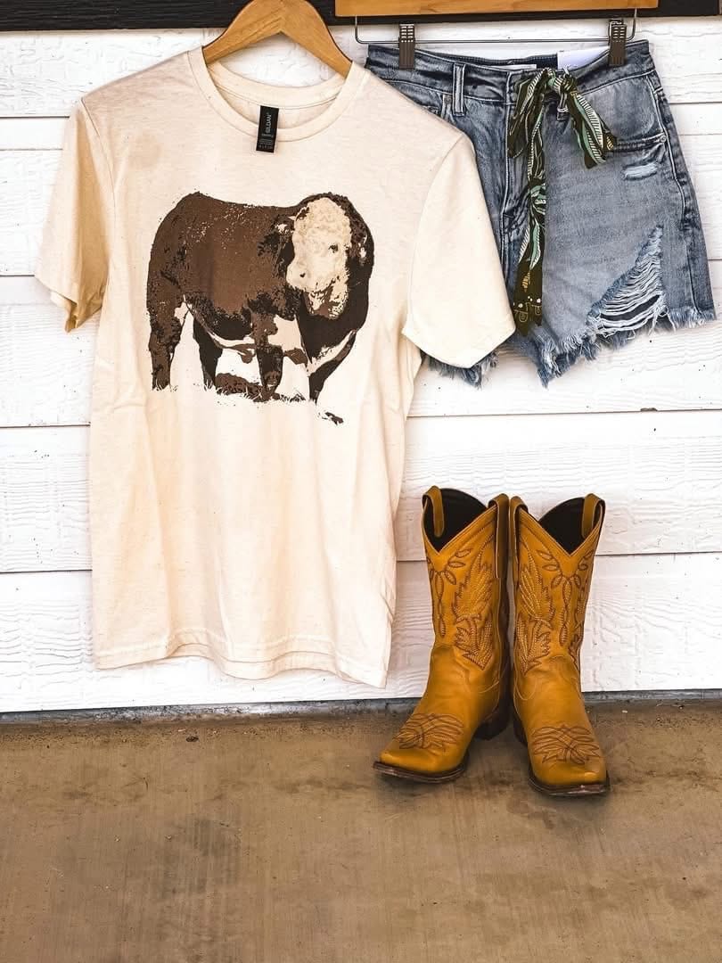 Hereford Bull Graphic Ter